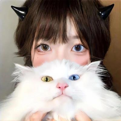 捉贼记
